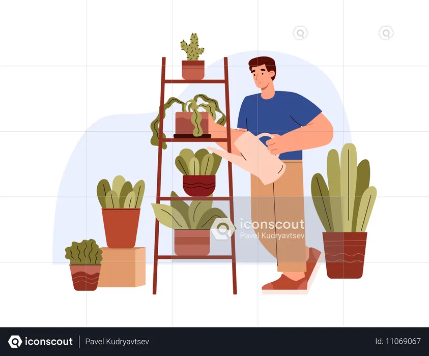 Man waters and washes away dust from house plants  Illustration