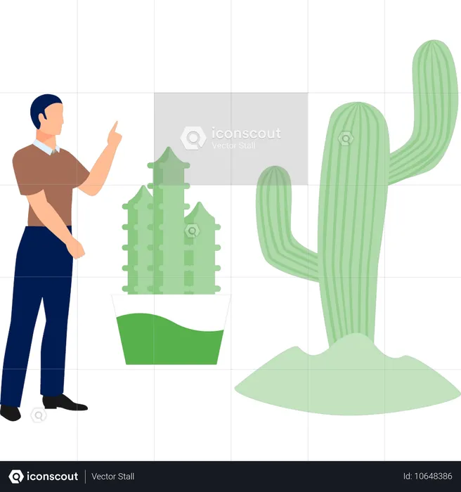 Mann zeigt auf Gymnocalycium Pflanze  Illustration