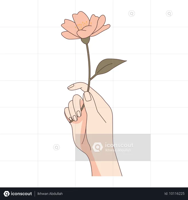 Mano de mujer sosteniendo una hermosa flor floral  Ilustración