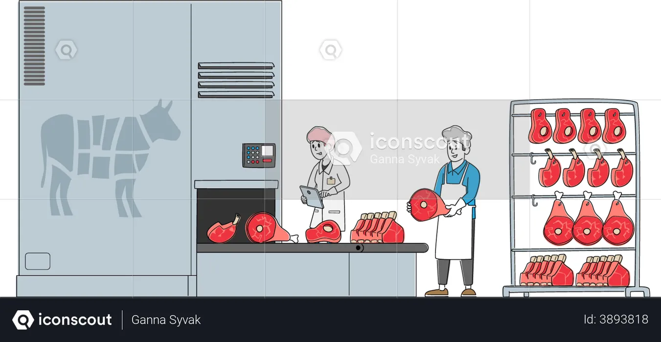 Meat Manufacture  Illustration