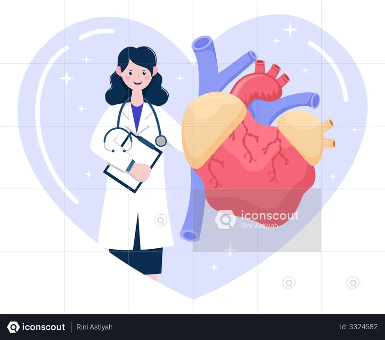 Médico fazendo exame cardíaco  Ilustração
