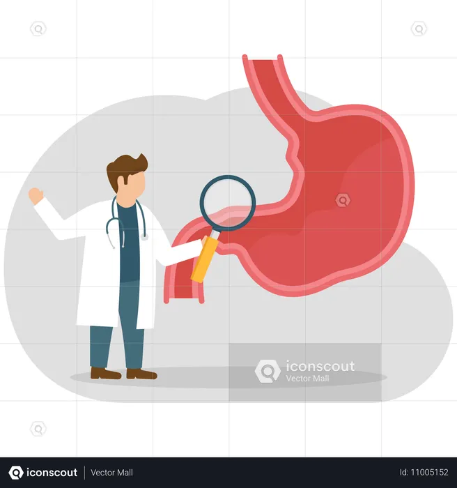 Médico fazendo pesquisa sobre estômago  Ilustração