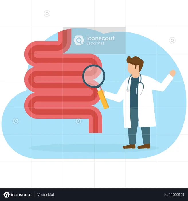 Médico fazendo pesquisa sobre intestinos  Ilustração