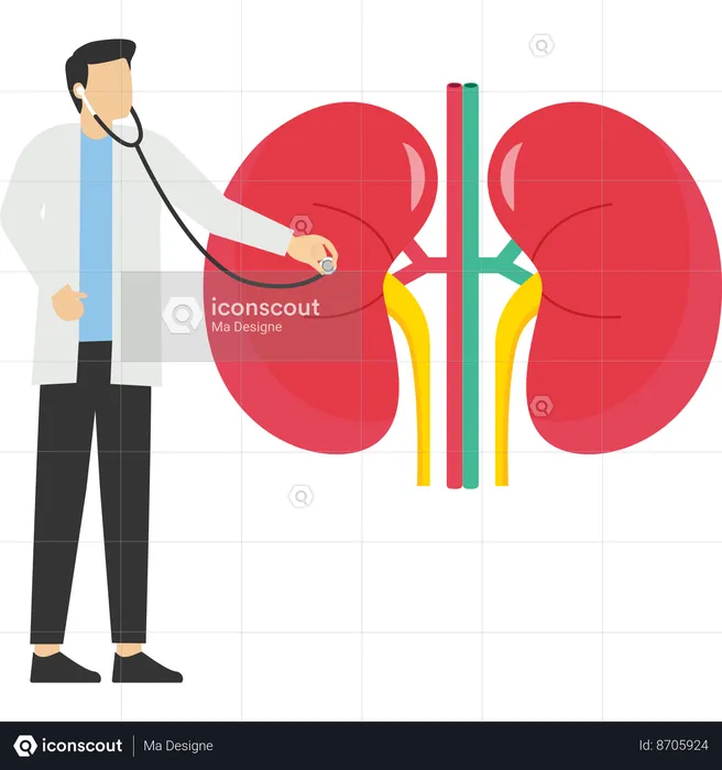 Doctor haciendo tratamiento renal  Ilustración