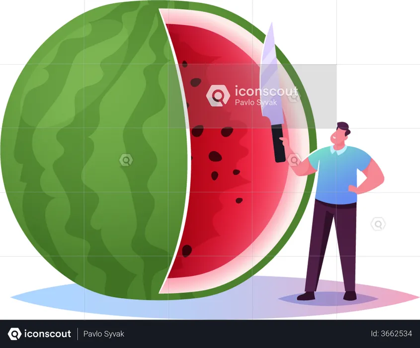 Men cutting Watermelon  Illustration