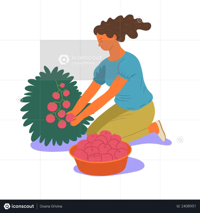 Garota coletando frutas  Ilustração