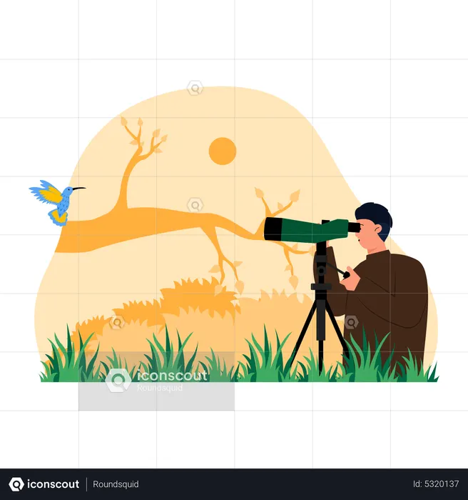 Menino observador de pássaros  Ilustração