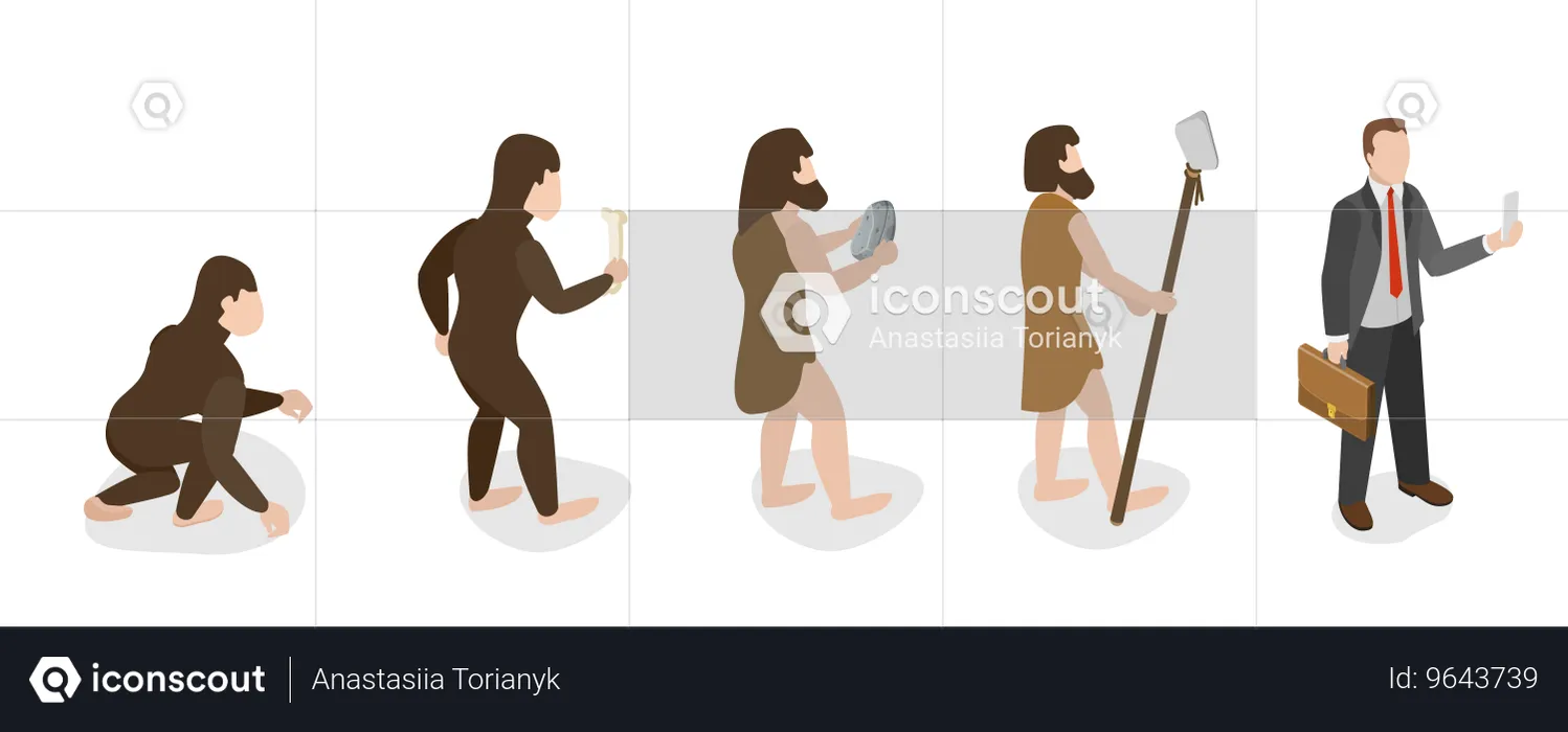 Menschliche Evolution  Illustration