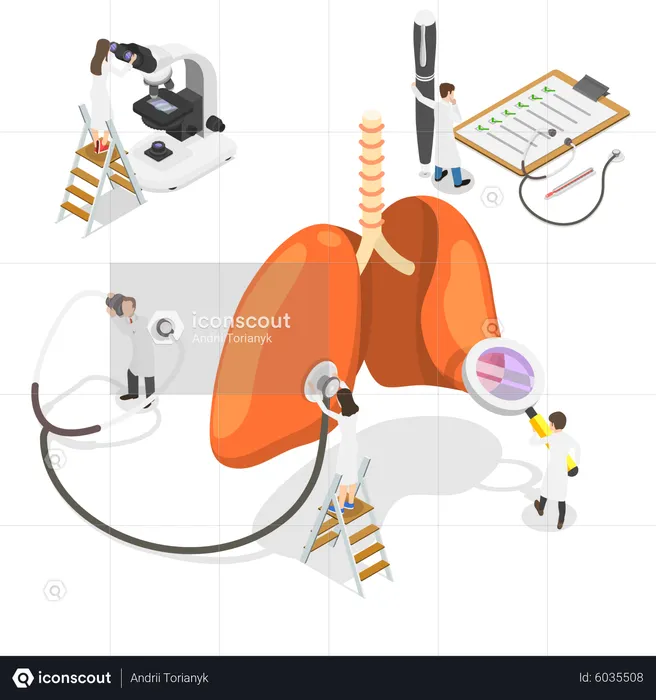 Menschliches Atmungssystem  Illustration