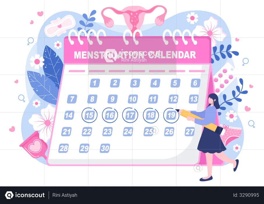 Menstruation Calendar  Illustration