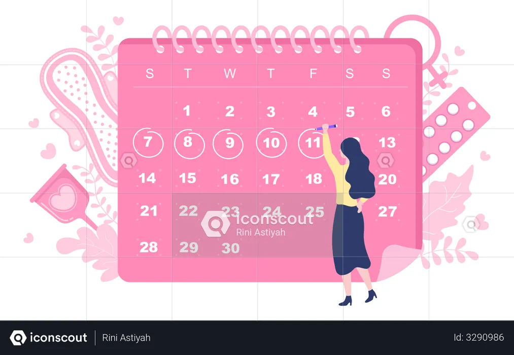Menstruation Date Cycle  Illustration