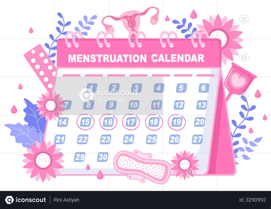 Menstruation Period Calendar  Illustration