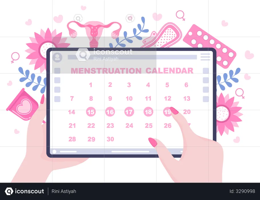Menstruation Period Calendar  Illustration