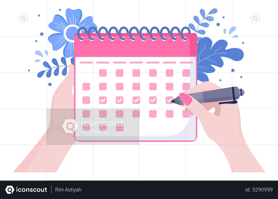 Menstruation Schedule  Illustration