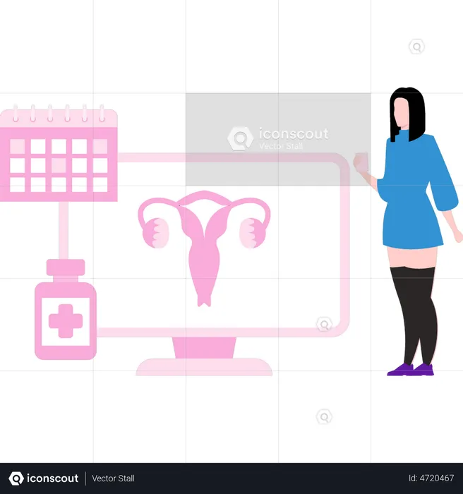 Menstruation Schedule  Illustration
