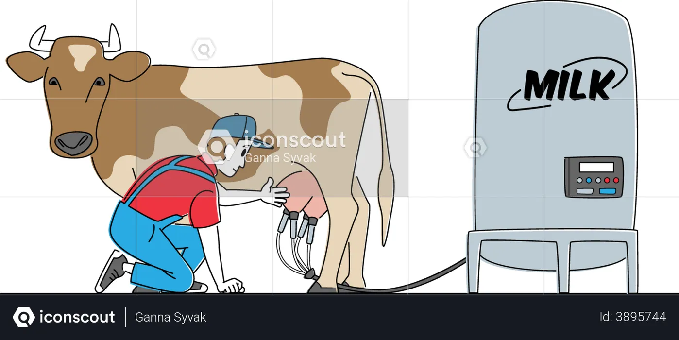 Milkman collecting cow milk using milking machine  Illustration