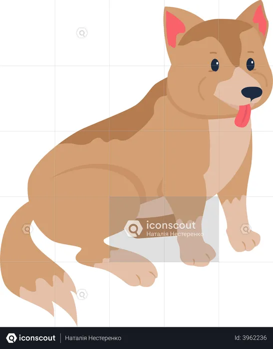 Mixed-breed dog adoption  Illustration