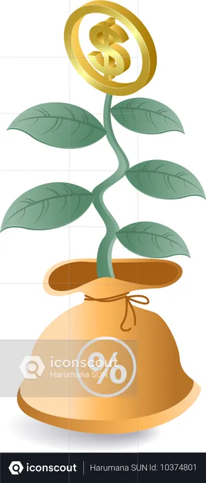 Money plant  Illustration