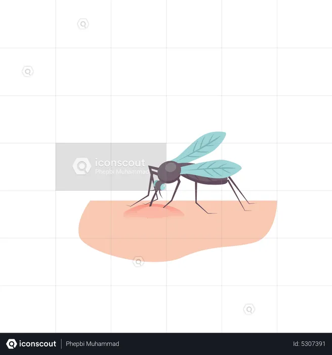 Mosquito bite  Illustration