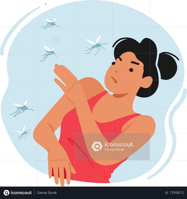 Mosquito Bite  Illustration