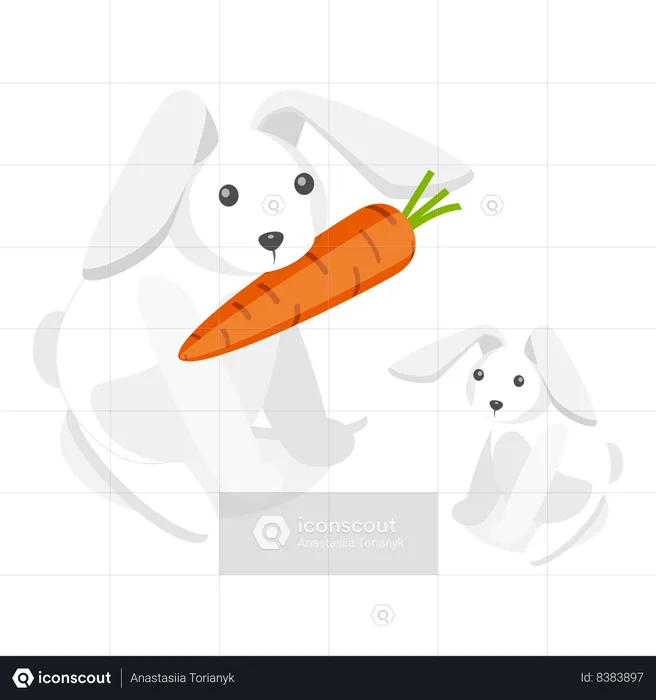 Mother rabbit bringing carrot for baby rabbit  Illustration