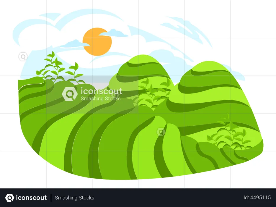 Mountain Agriculture  Illustration