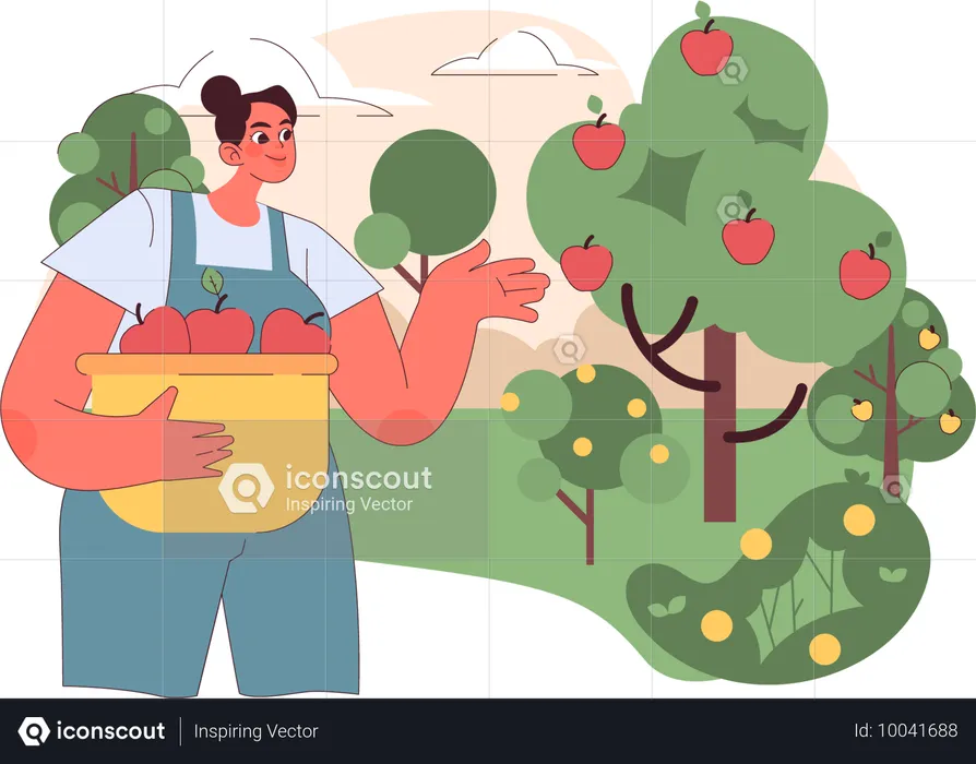 Mujer agricultora recogiendo manzanas de la granja  Ilustración