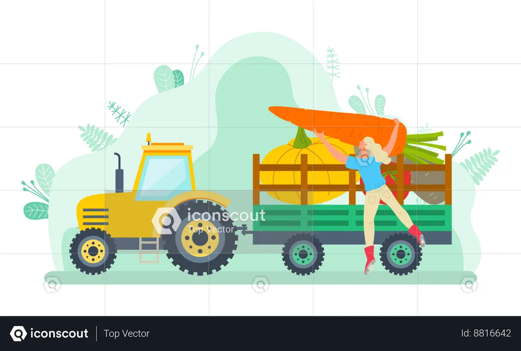 La mujer está cargando frutas de jardinería en un camión  Ilustración