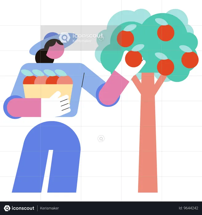 Mujer recoge fruta del árbol  Ilustración