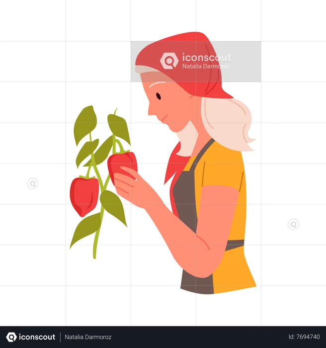 Agricultora colhendo frutas  Ilustração