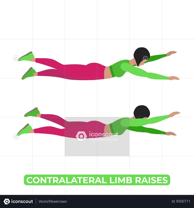 Mulher Fazendo Elevação De Membro Contralateral  Illustration