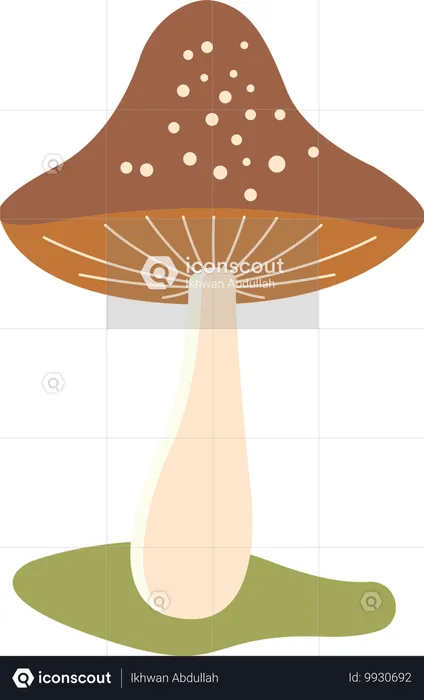 Mushroom Polka  Illustration