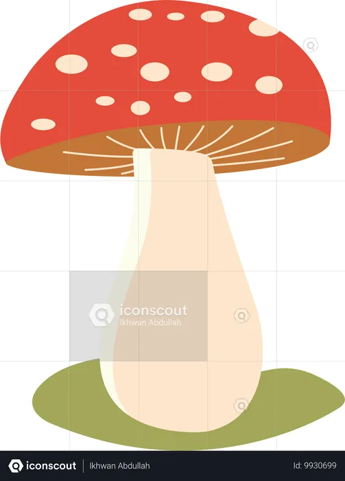 Mushroom Polka  Illustration