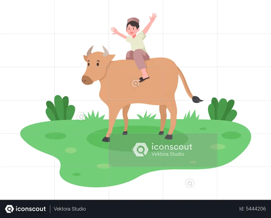 Muslim boy sitting on cow  Illustration
