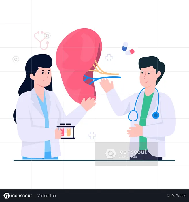 Nephrologist  Illustration