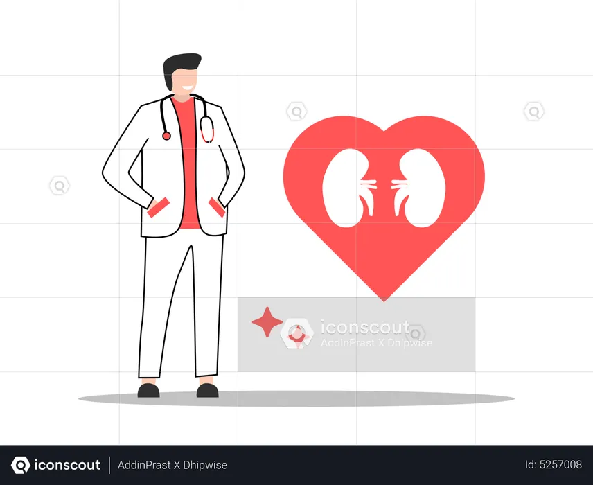 Best Nephrologist Illustration Download In Png And Vector Format