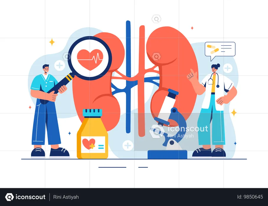 Nephrologist  Illustration