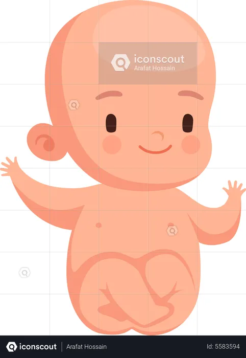 Newborn Baby  Illustration