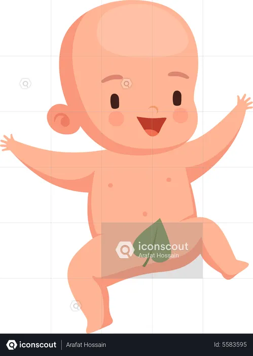 Newborn Baby  Illustration