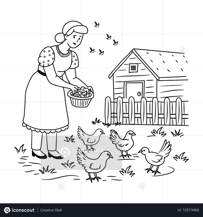 Nourrir les poulets  Illustration