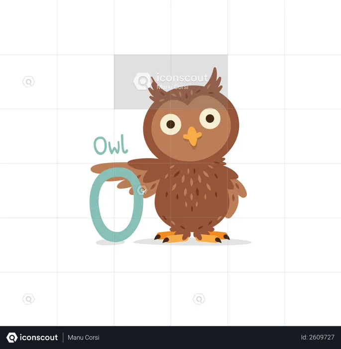 O for Owl  Illustration