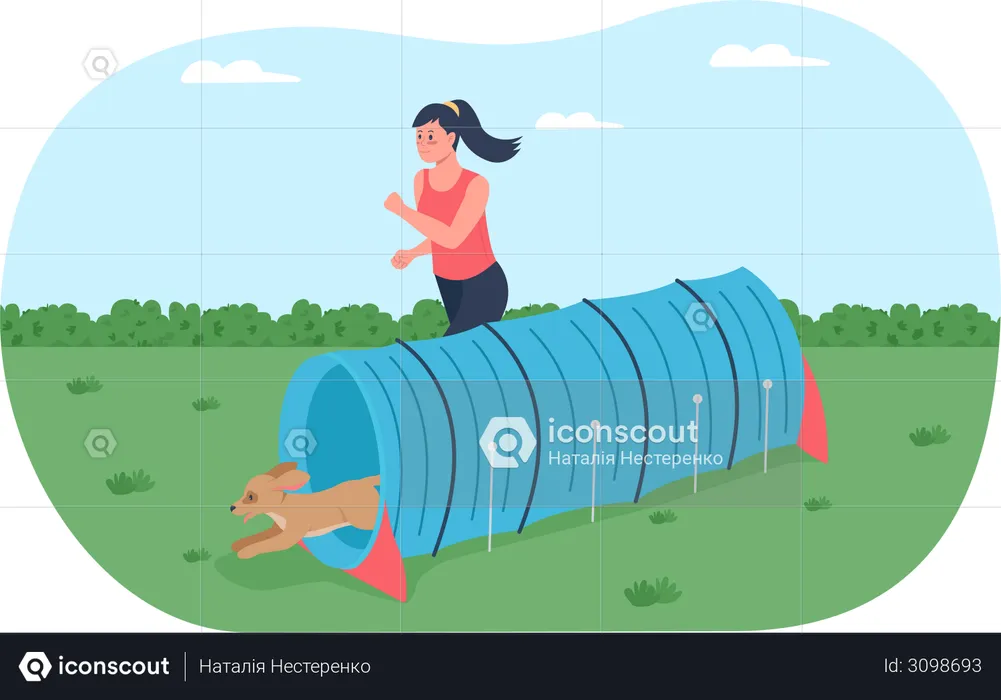 Obstacle course for training dogs  Illustration