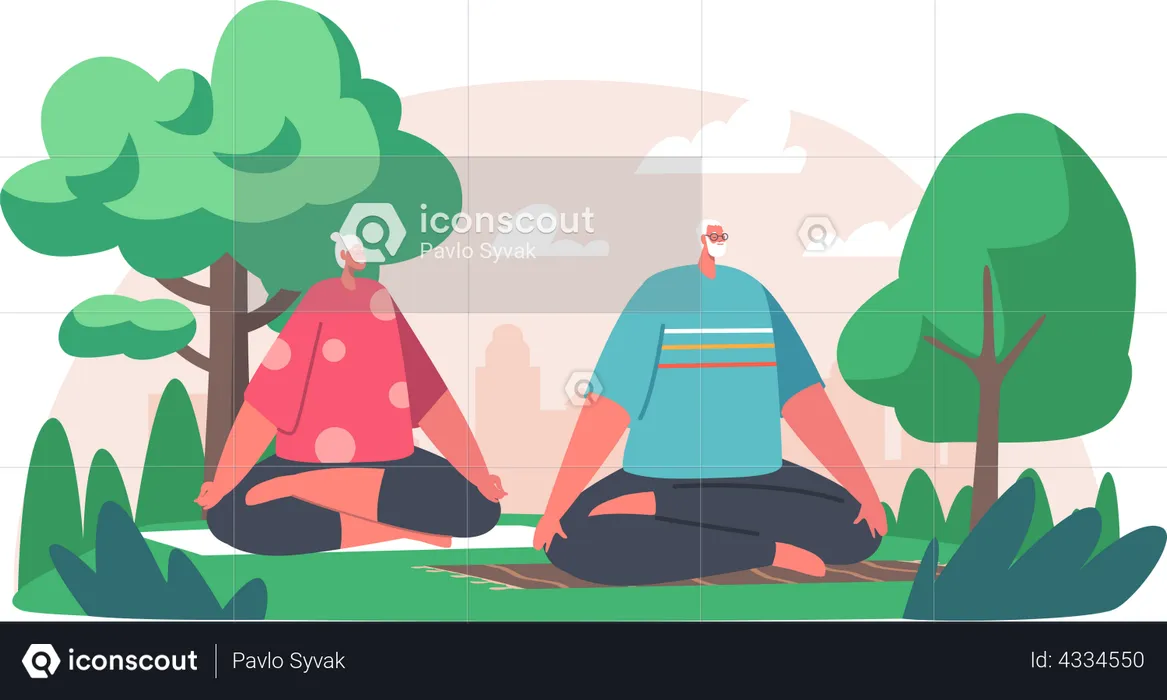 Old aged couple doing yoga in park  Illustration
