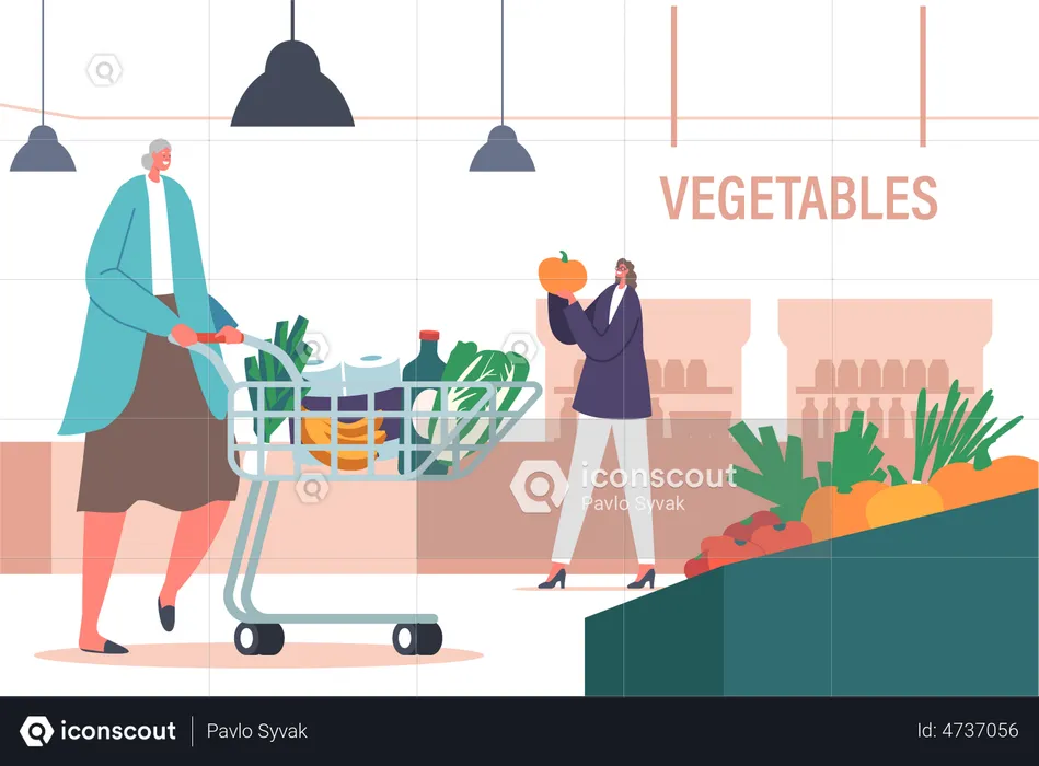 Old and Young Women Visiting Grocery Store  Illustration