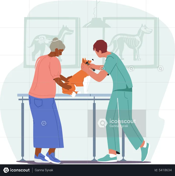 Old female dog owner at appointment in veterinary hospital  Illustration