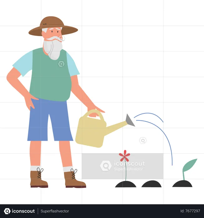 Old gardener watering plant  Illustration