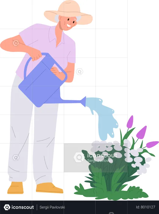 Old woman watering flower from can sprayer doing garden work  Illustration