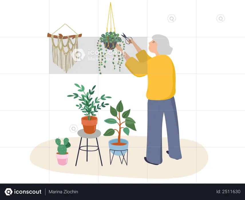 Old woman cutting plant  Illustration