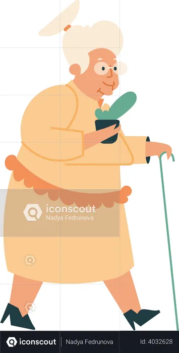 Old woman walks with a stick and flower pot  Illustration
