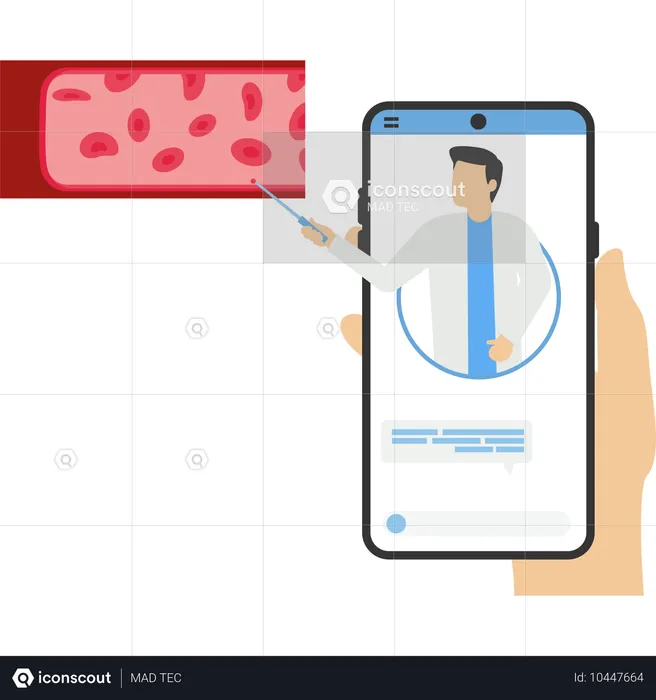 Online Cardiovascular system  Illustration